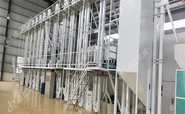 安陽滑縣200噸玉米加工設(shè)備